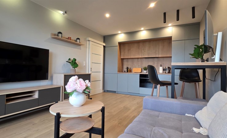 mieszkanie na wynajem - Łódź